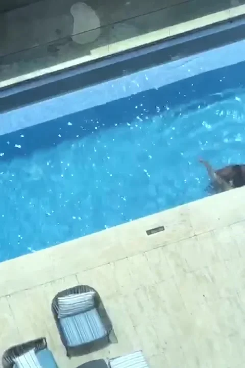 Follando en la piscina — amateur — foto 3