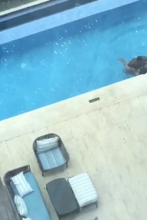 Follando en la piscina — porno gratis — foto 2
