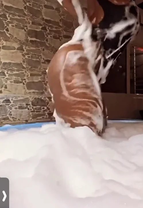 Amara la negra xxx mostrando su culo