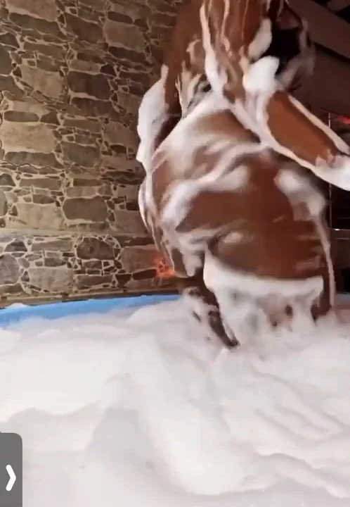 Amara la negra xxx mostrando su culo